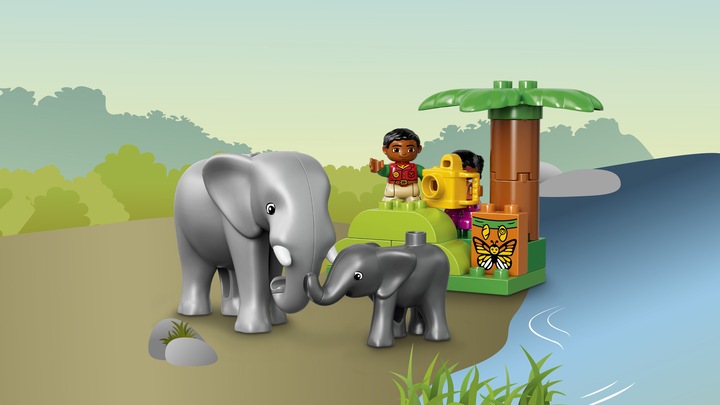 Actual product image LEGO Jungle (10804)
