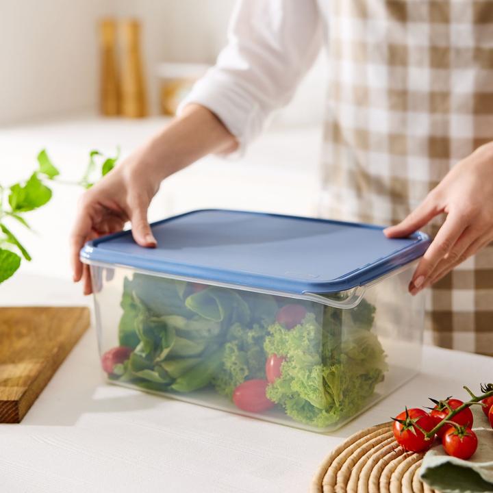 Actual product image Rotho Rondo (8 l)