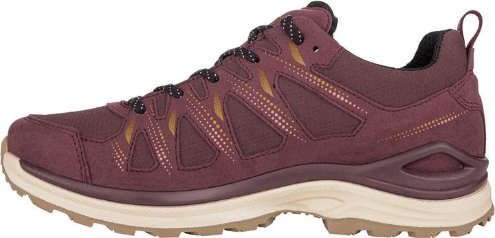 Produktbild Lowa Innox Evo II GTX LO (41)