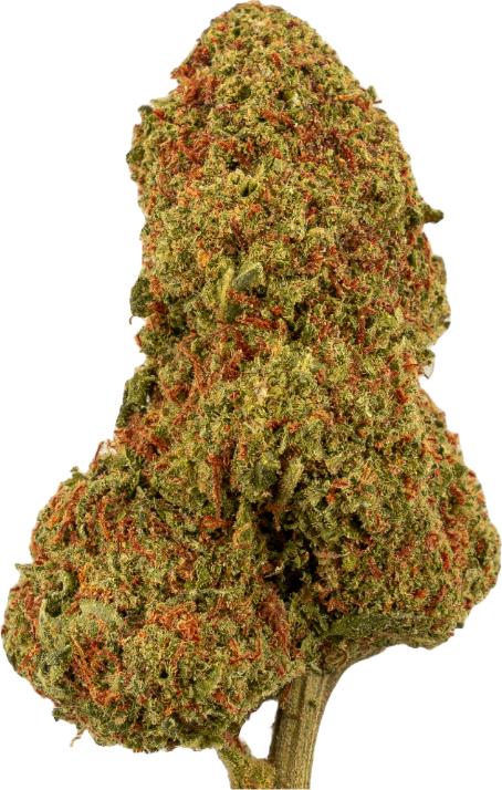 Image du produit Green Passion Fruit Punch (5 g, Serre)