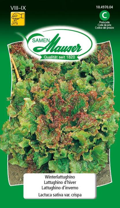 Image du produit Samen Mauser Lattughino d'hiver (Graines de légumes)