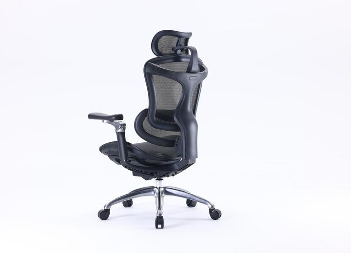Image du produit Sihoo Doro C300