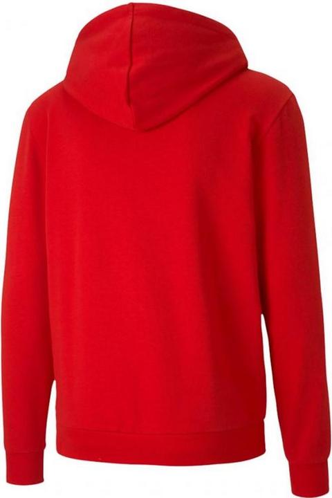 Image du produit Puma - Veste à capuche TEAM GOAL - Homme (S)