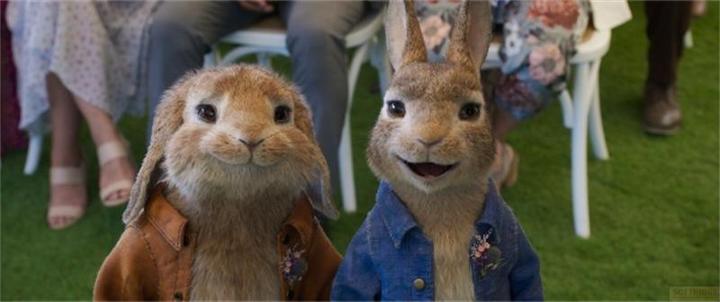 Immagine prodotto Sony Peter Rabbit 2 - Un coniglio se ne va - 4K (Blu-ray, 2021, Francese, Inglese, Italiano, Tedesco, Finlandese, Greco, Danese, Serbo, Cinese, Arabo)