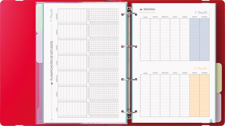 Produktbild Carchivo Ringbuch mit Inhalt Carpeblock 360 (A4, 40 mm)
