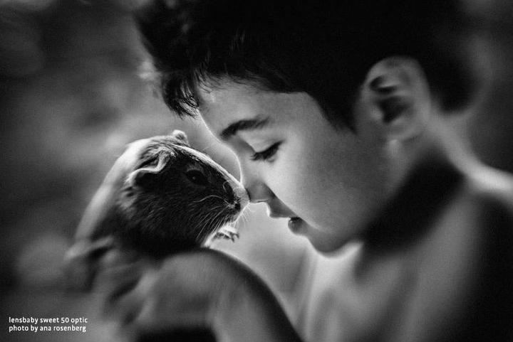 Actual product image Lensbaby Sweet 50 Optics (Universal, full size)