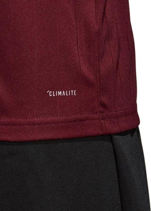 Actual product image Adidas Tabela 18 Jersey (116)