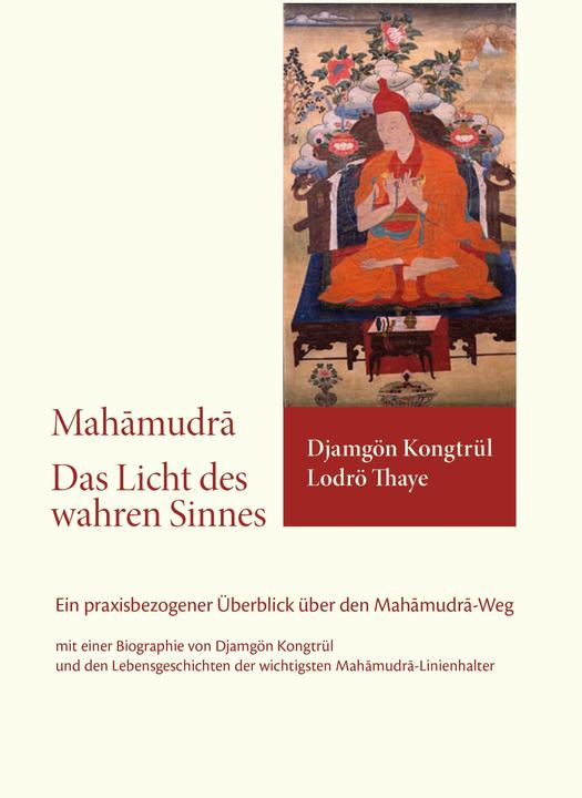Produktbild Das Licht des wahren Sinnes (Deutsch, Djamgön Kongtrül Lodrö Thaye, Gerd Pickshaus, Ira Parshikova, Norbu Denzong, Tilmann Borghardt, 2014)