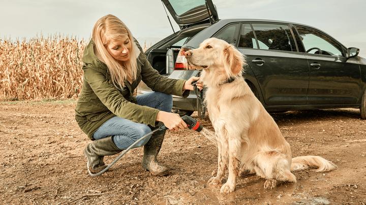 Actual product image Bosch Home & Garden Fontus GEN II BT (Rechargeable battery operated)