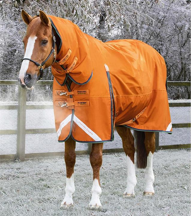 Image du produit Premier Equine Buster Combo 400g (160 cm)