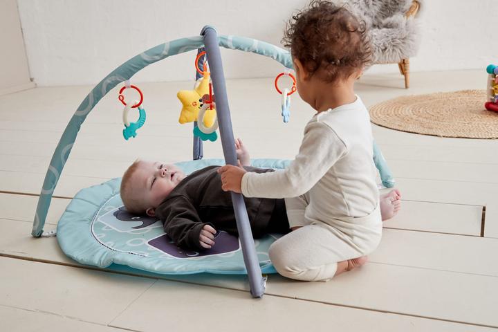 Actual product image Scandinavian Baby Products Zoo Activity Gym