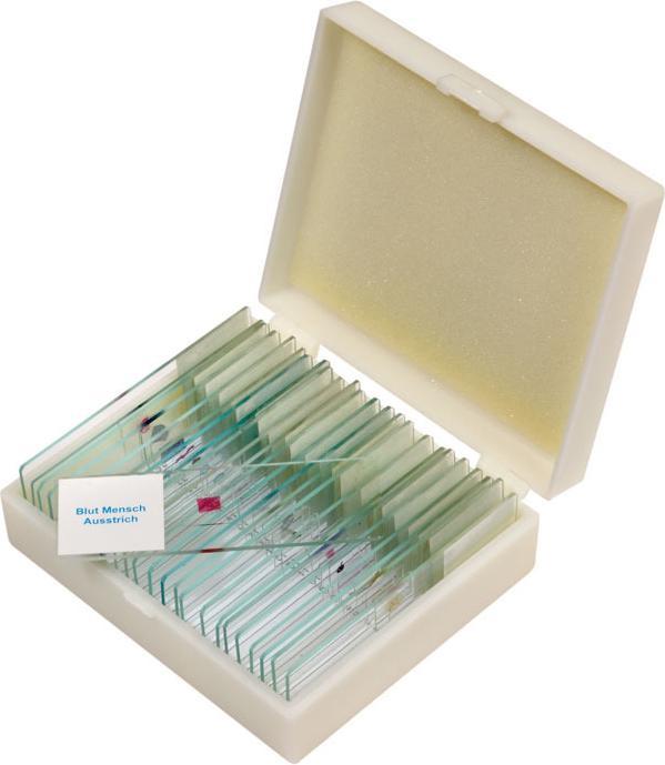 Betzold Präparate-Set 2