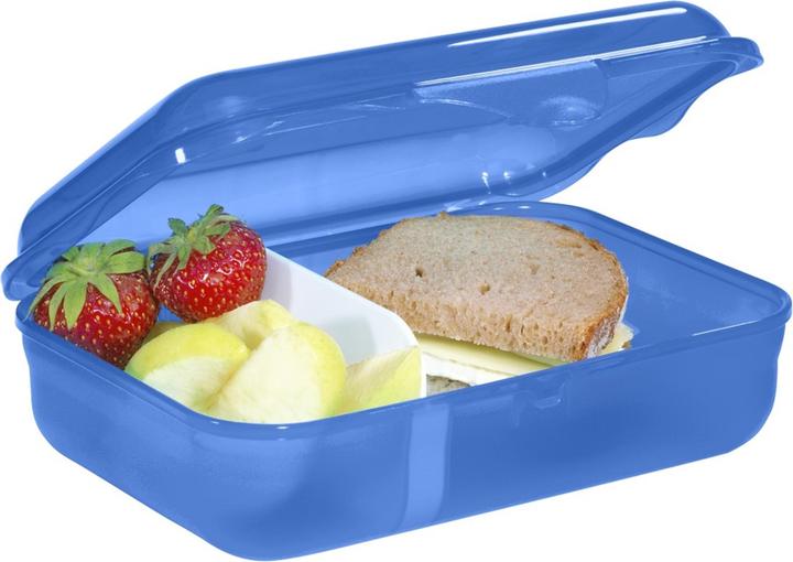 Actual product image Rotho Step by Step lunch box with click closure, dishwasher-safe