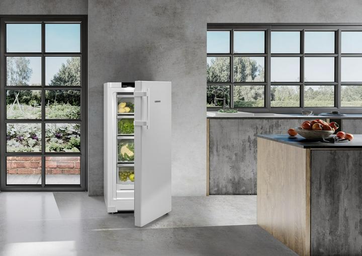 Image du produit Liebherr RBa30 425i (160 l)