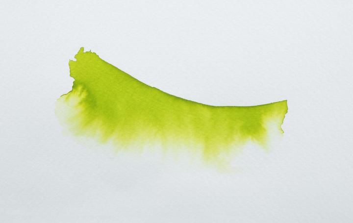 Image du produit Jacques Herbin Encre aquarelle Eclats en 50ml - Anis (Vert, 50 ml)