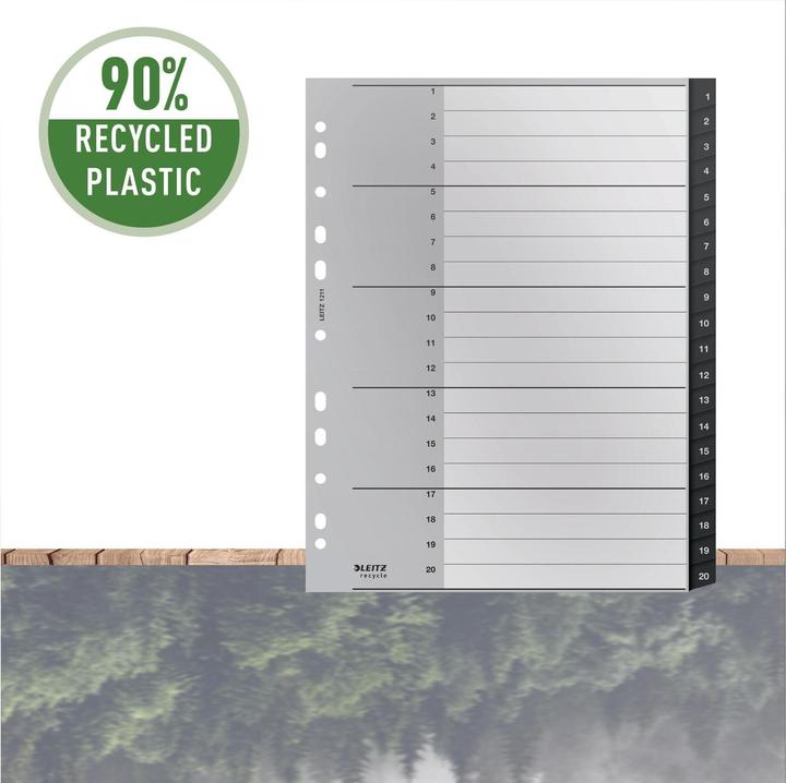 Produktbild Leitz Register Recycle 1-20