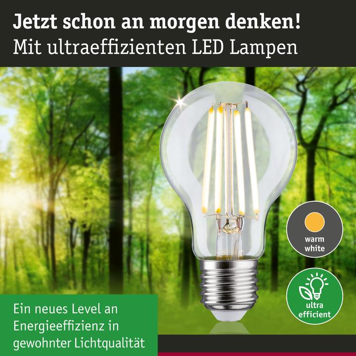 Produktbild Paulmann AGL Eco-Line Filament (E27, 2.50 W, 525 lm, 1 x, A)
