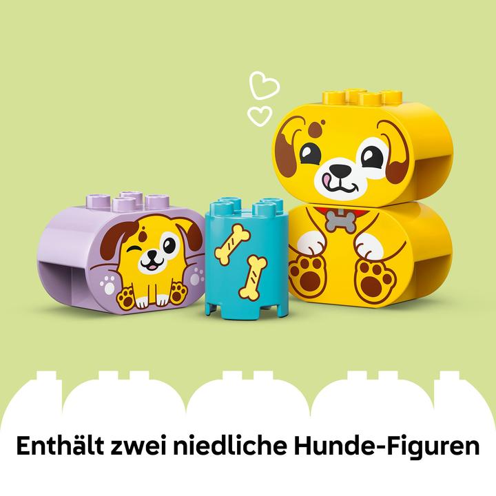 Actual product image LEGO Formsortierer: Welpenhaus