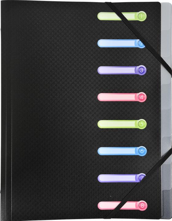 Actual product image Exacompta PP file folders (A4, 1x)