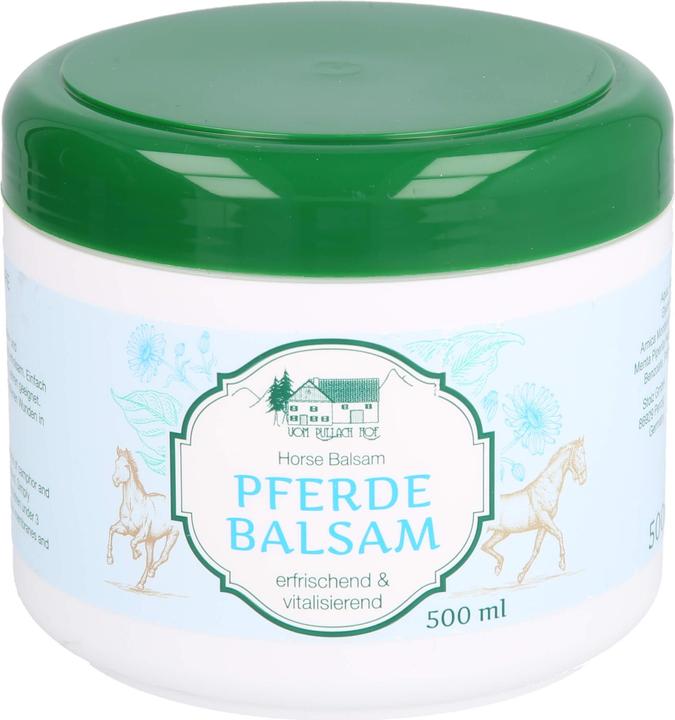 Actual product image Axisis HERBAMEDICUS horse balm with herbal extracts for sore muscles and tension, 500 ml cream (Body cream, 500 ml)