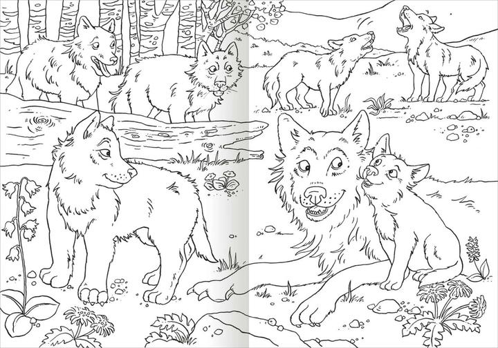 Produktbild Das superdicke Malbuch - Tiere