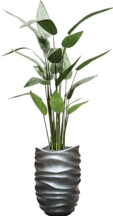 Image du produit Emerald Bara (125 cm)