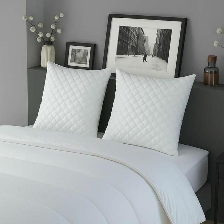 Productafbeelding Dodo Kissen Weiss 60 x 60 cm (2 Stück) (60 x 60 cm)