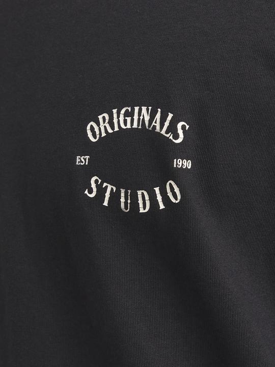 Image du produit Jack & Jones Joraustin Font Tee Ss C.N Styd Aw24 (M)