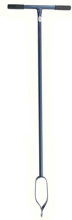 Actual product image DeWit Palenboor - 12 Cm