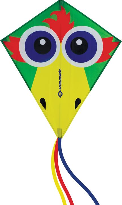 MTS 970410 Classic Kite 70, Multicolore Design : CrazyBird, 970410