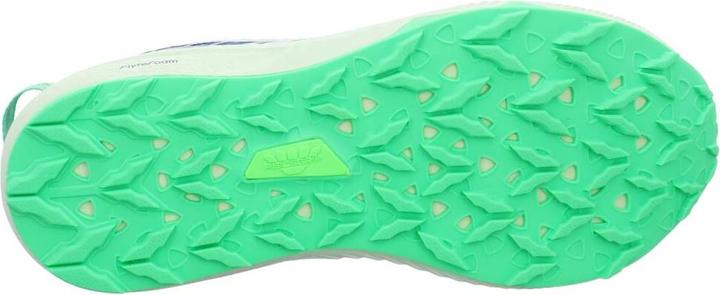 Image du produit ASICS Performance Fuji Lite 3 (42)