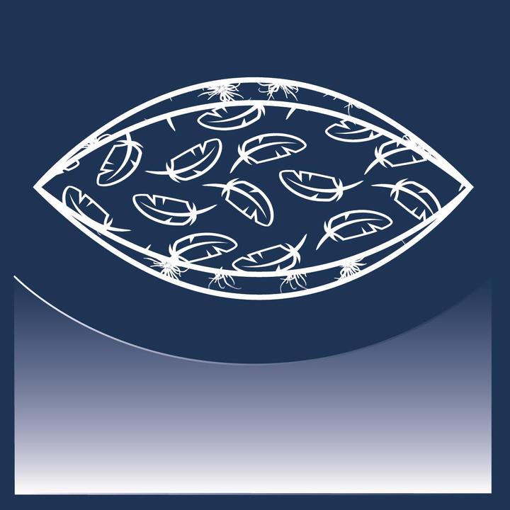 Produktbild Billerbeck Climacontrol (50 x 90 cm)