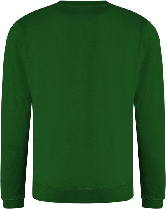 Actual product image Awdis Just Hoods Sweatshirt With Crew Neck (XXL)