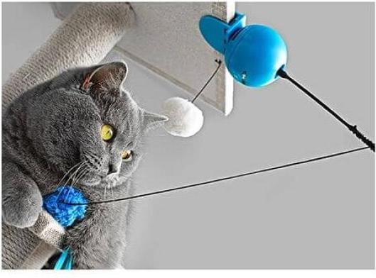Produktbild EBI Coockoo Foxy lime für Cats (Ballspielzeug Katze)