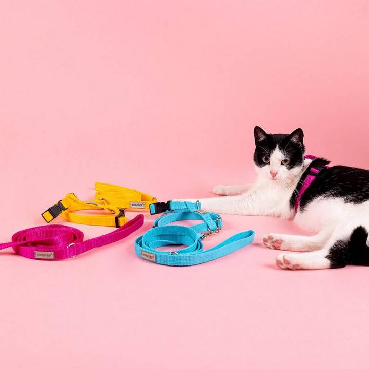 Image du produit amiplay Harnais pour chat Samba (M, Chat, Chien, Général)