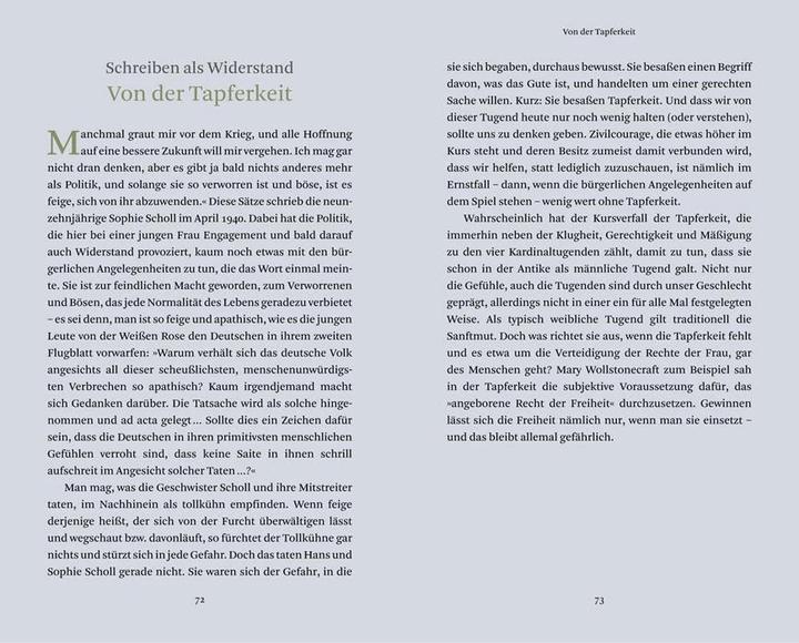 Produktbild Frauen, die schreiben, leben gefährlich (Deutsch, Stefan Bollmann, 2014)