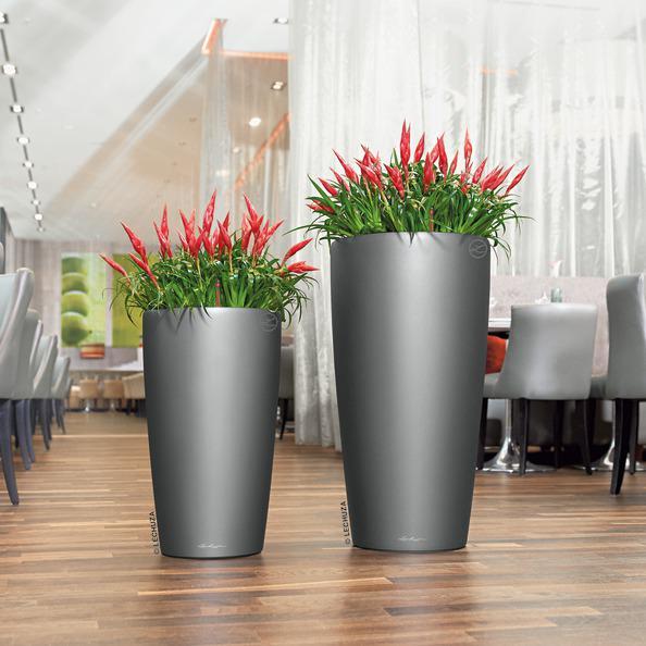 Immagine prodotto Lechuza Rondo (32.50 x 56.50 cm)