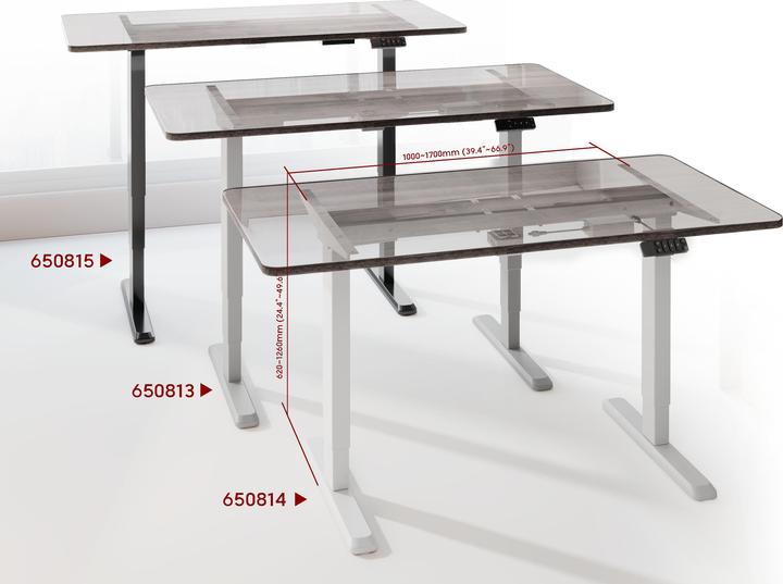 Actual product image equip Schreibtischgestell Dual Motor elektr. 125Kg schwarz