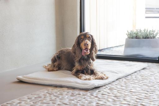 Actual product image Designed by Lotte Lounger cushion Gisel (Dog)