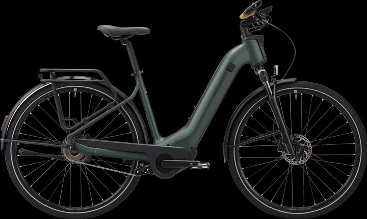 Actual product image Rockrider E-bike trekking bike 28 inch E-ACTV 900 automatic transmission low entry - green