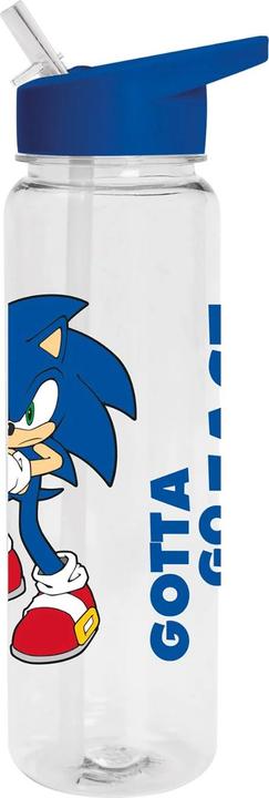 Actual product image Sonic The Hedgehog Gotta Go Fast Plastic Water Bottle (0.70 l)
