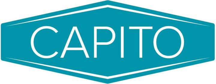 Produktbild Capito Schubkarre Garten 85 85 l Luftrad Polypropylen-Felge mit Rollenlager