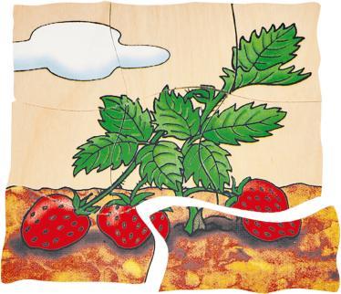Produktbild Beleduc Erdbeere (30 Teile)
