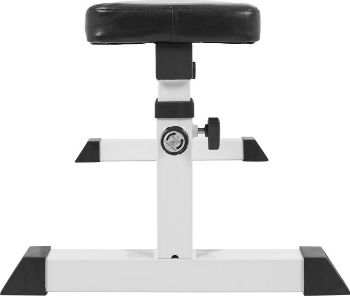 Immagine prodotto Gorilla Sports Panca per pesi 793