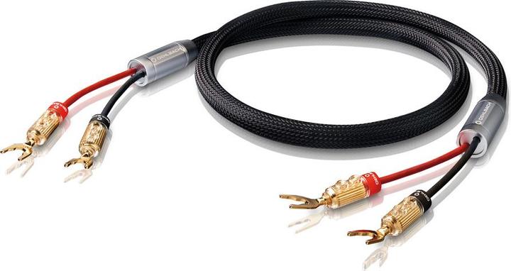 Oehlbach XXL Fusion Two 300 (2.50 m, 4 mm²² mm)