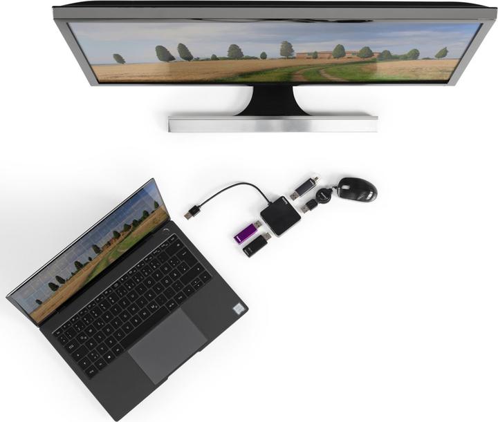 Actual product image Hama USB 2.0 Hub (USB-A, 4 Ports)