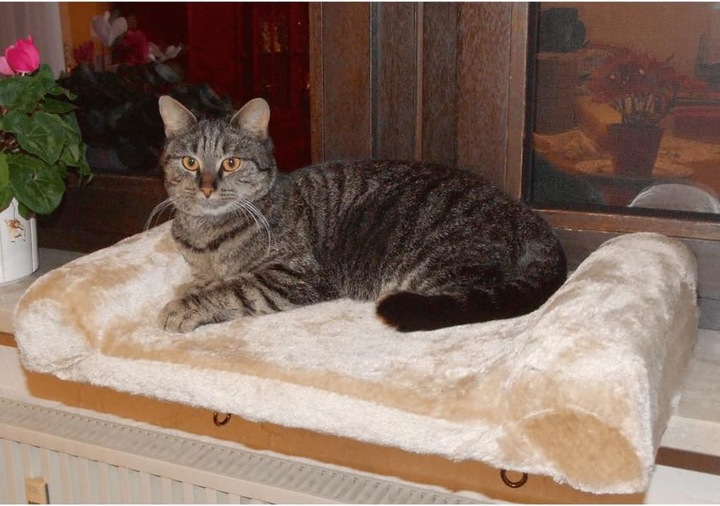 Actual product image Kerbl Window bed (Dog, Cat)