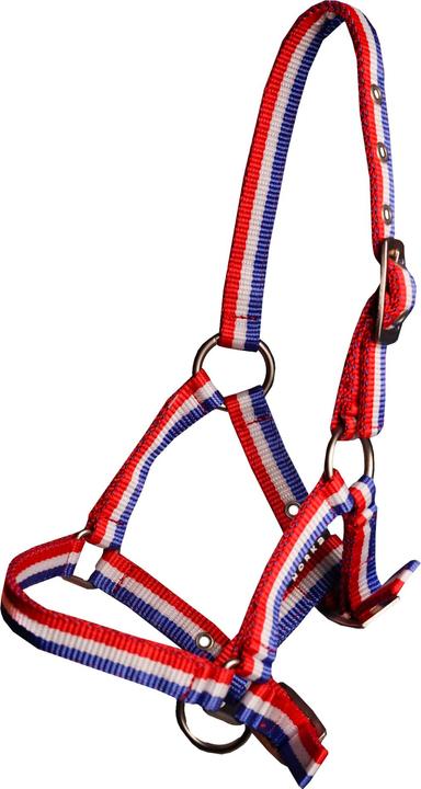 Horka Licol pour cheval poulain