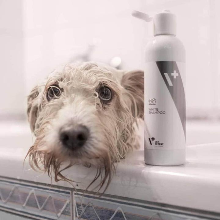 Produktbild Vet Expert Shampoo für weisses Fell (Katze, Hund, 250 ml)