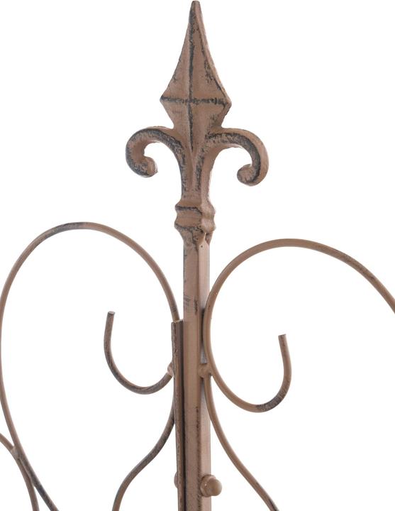 Actual product image CLP Mandevilla (1 cm, 99 cm)